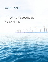 Natural resources as capital